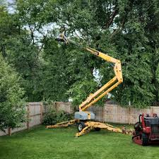 Best Lawn Watering Services  in Vernon, AL